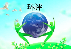 環(huán)境影響評價文件涉及弄虛作假等行為的，需要承擔(dān)哪些后果？
